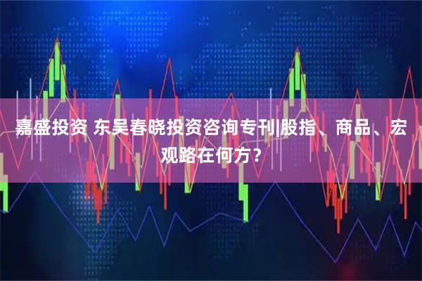 嘉盛投资 东吴春晓投资咨询专刊|股指、商品、宏观路在何方？