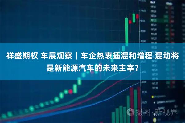 祥盛期权 车展观察｜车企热衷插混和增程 混动将是新能源汽车的未来主宰？