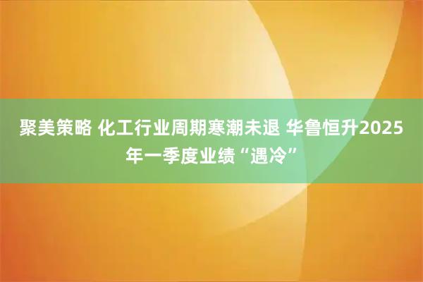 聚美策略 化工行业周期寒潮未退 华鲁恒升2025年一季度业绩“遇冷”