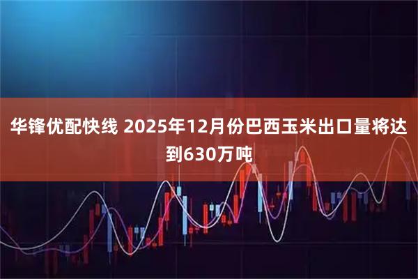 华锋优配快线 2025年12月份巴西玉米出口量将达到630万吨
