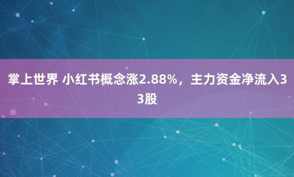 掌上世界 小红书概念涨2.88%，主力资金净流入33股