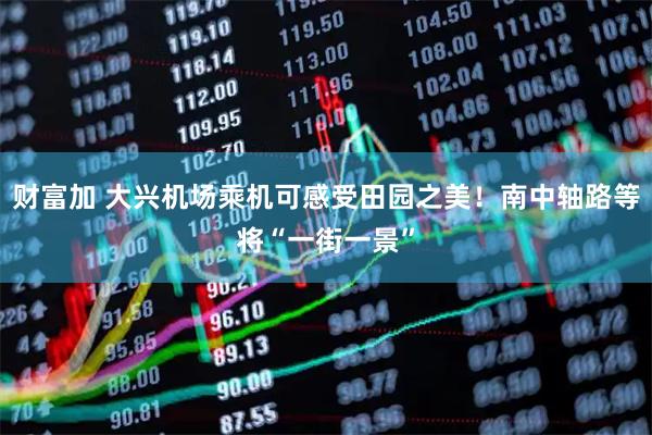 财富加 大兴机场乘机可感受田园之美！南中轴路等将“一街一景”