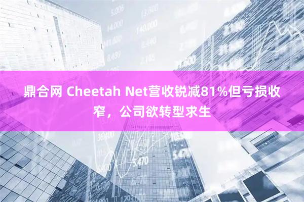 鼎合网 Cheetah Net营收锐减81%但亏损收窄，公司欲转型求生